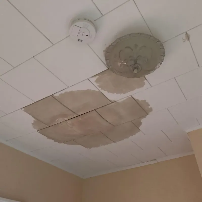 Ceiling Water Damage Repair in Pottstown, PA