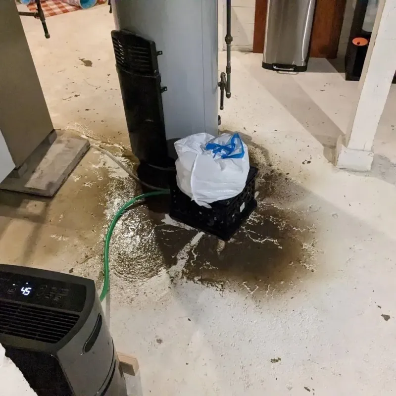 Sewage Backup Cleanup Service in Pottstown, PA